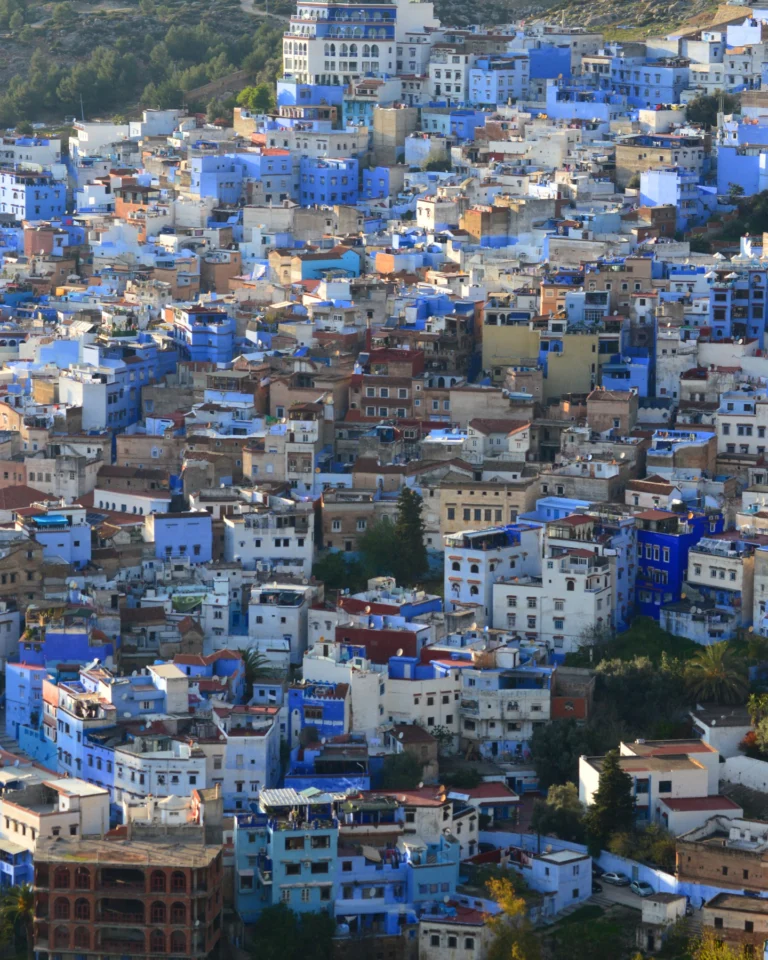 Instagram post from talkingbackpack. This post is in position 9.