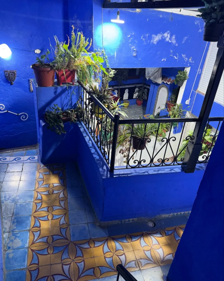 Instagram post from talkingbackpack. This post is in position 3.