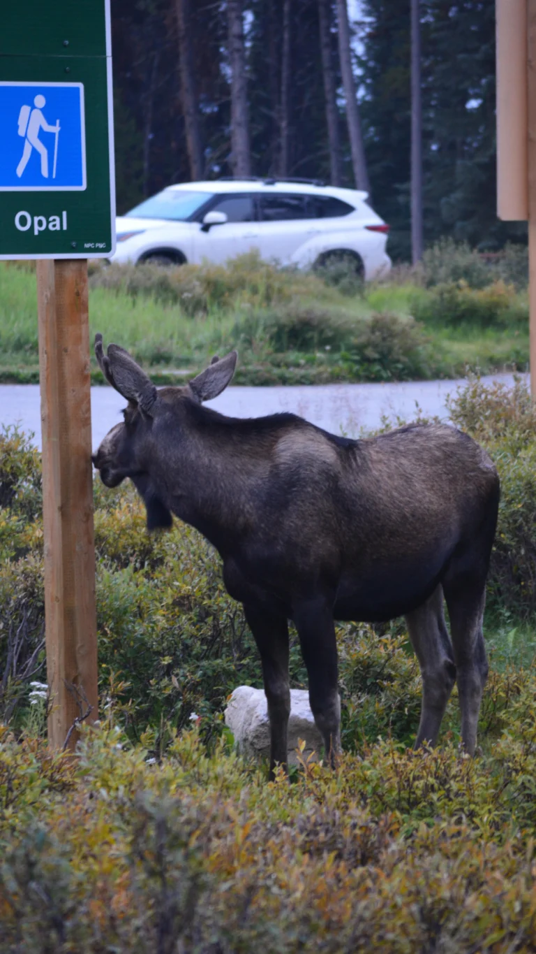 Instagram post from talkingbackpack. This post is in position 19.